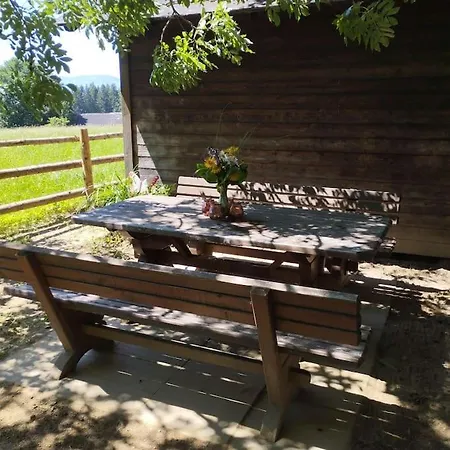 Dom wakacyjny Almhuette Waldenstein (Wolfsberg)