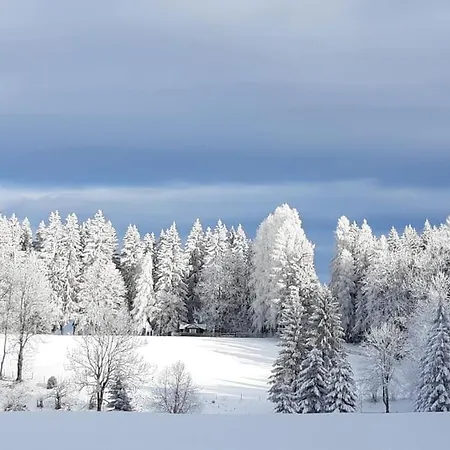 Almhuette * Waldenstein (Wolfsberg)