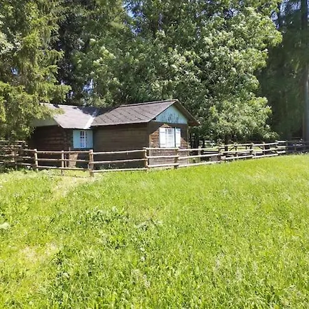 Almhuette Waldenstein (Wolfsberg)
