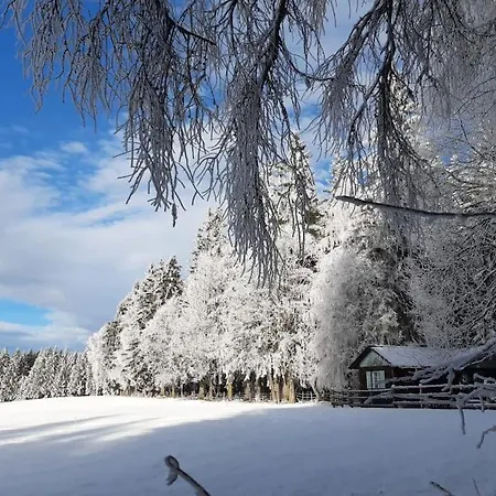Σπίτι διακοπών Almhuette Waldenstein (Wolfsberg)