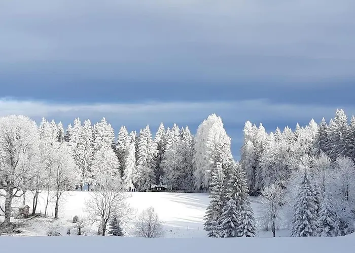 Almhuette * Waldenstein (Wolfsberg)