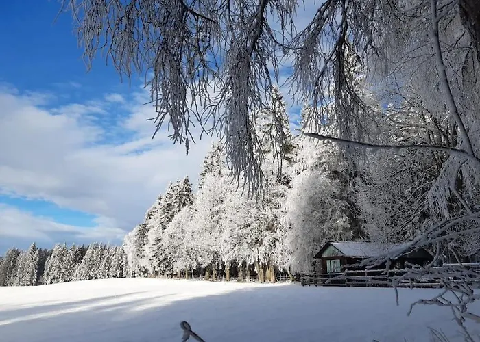 Casa vacanze Almhuette Waldenstein (Wolfsberg)